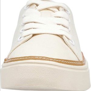 Toms womens alex sneaker, birch canvas